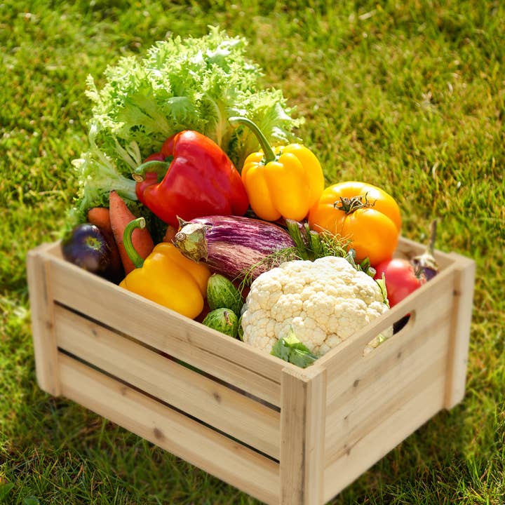 Portofino International Trading, USA - Wholesale Decorative Tabletop Object - Decorative Natural Wood Crate 4 Piece Set5