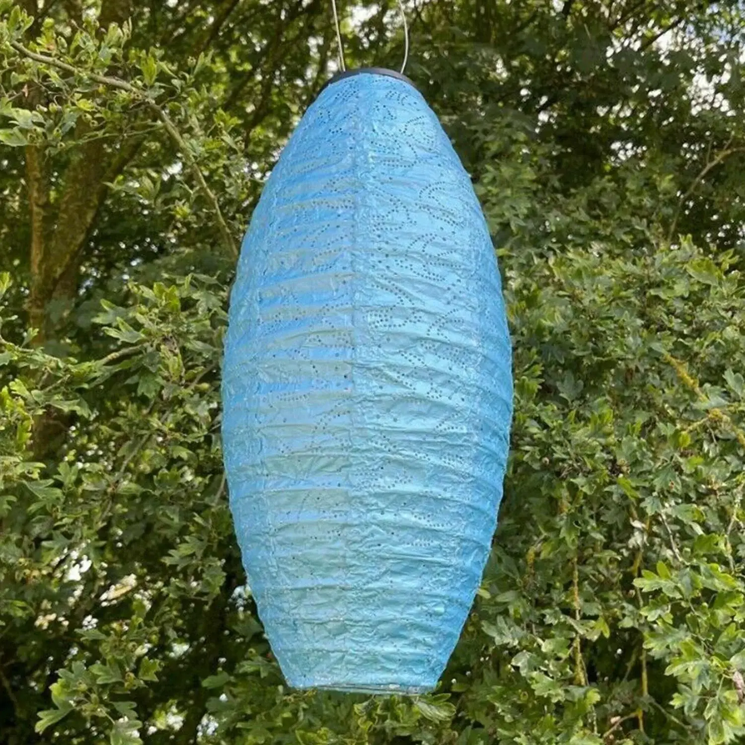 Delicious Designs Ltd - Wholesale Lantern - Solar Lantern - Long Oval Blue Birds 45cm2