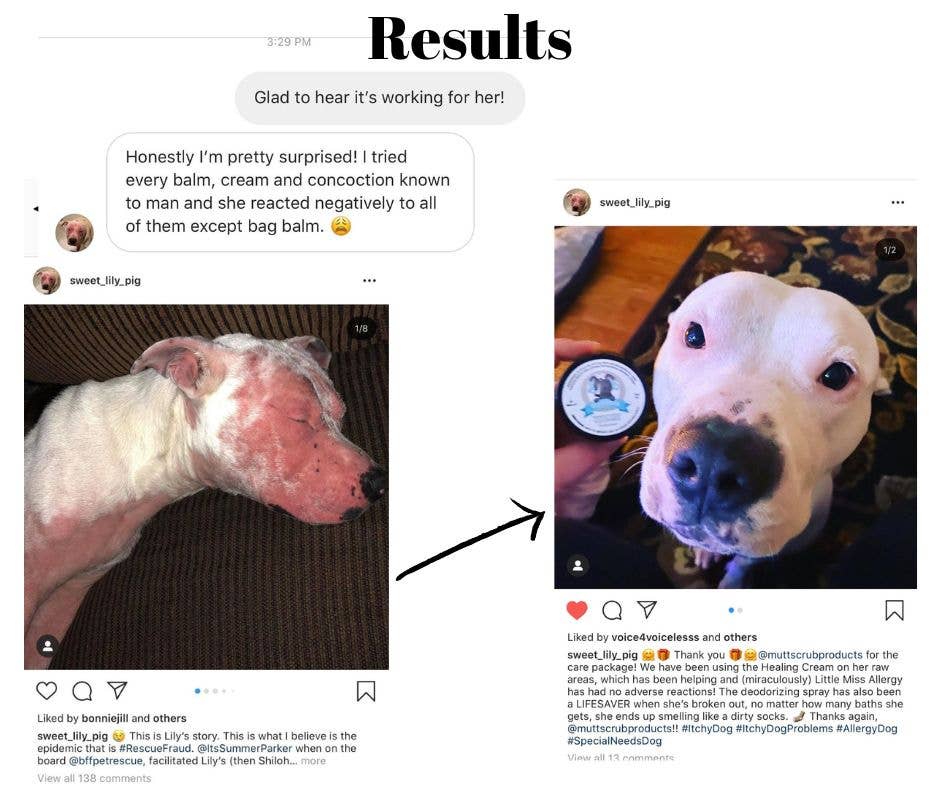 DecoExchange - Vente Shampoing – chien - Shampooing pour chien, shampooing entièrement naturel pour les peaux sensibles6