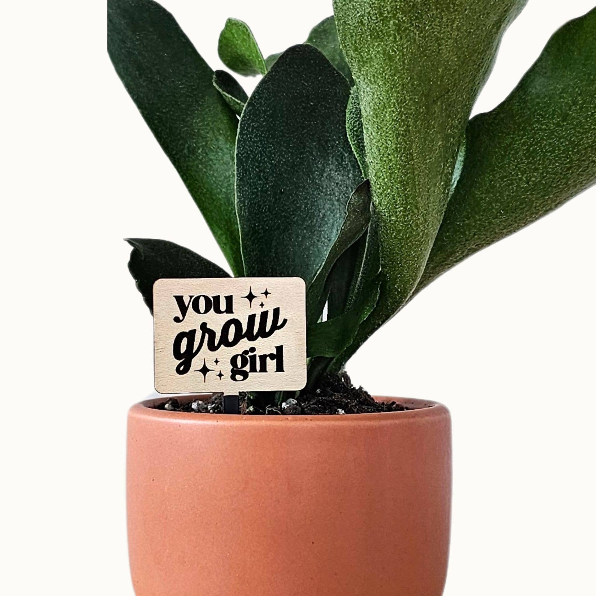 Leaf & Node - Wholesale Plant Pot - Funny Plant Sayings, Indoor Plant Accessories - Plant Stakes7