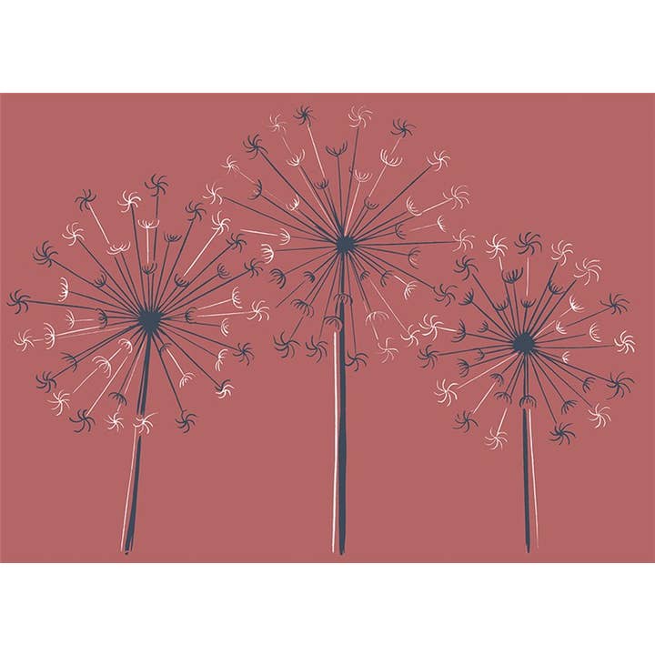 Greeting Card Dandelions for wholesale by Natural Partners Limited