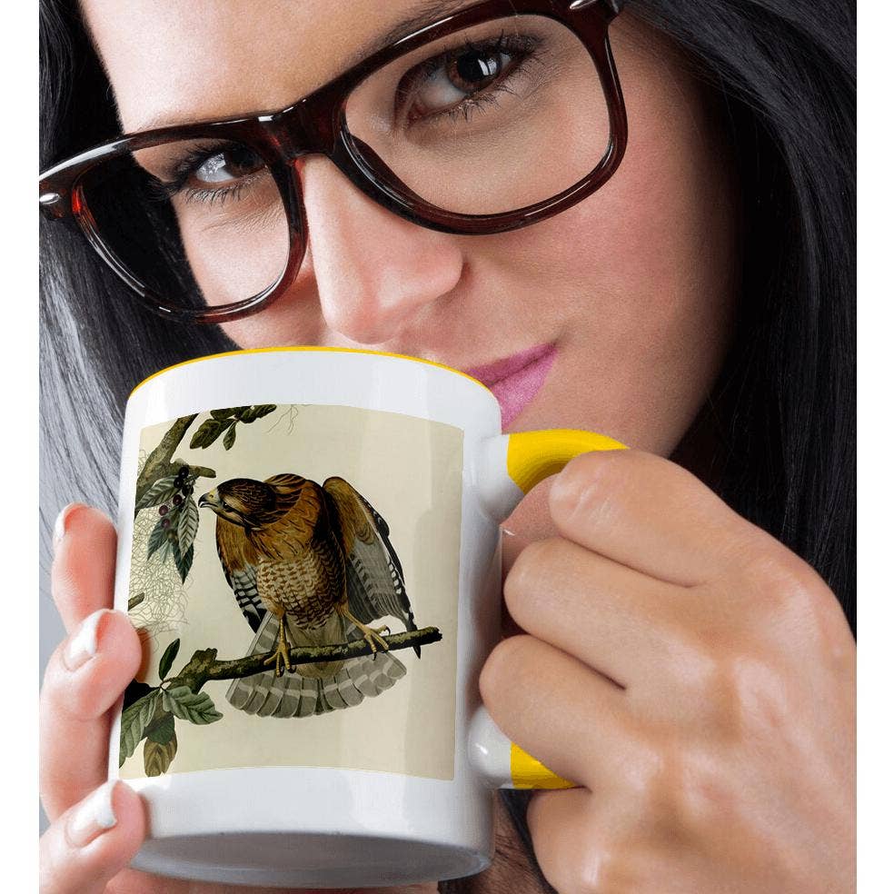 3dRose – wholesale Coffee mug – 3dRose, Red-shouldered Hawk Bird of Prey Audubon America Vintage Art Print, Mug1