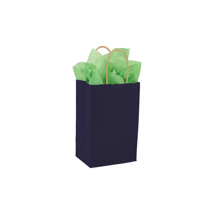 Store Supply Warehouse - Wholesale Gift Bag - Colorful Kraft Paper Shopping Bags25
