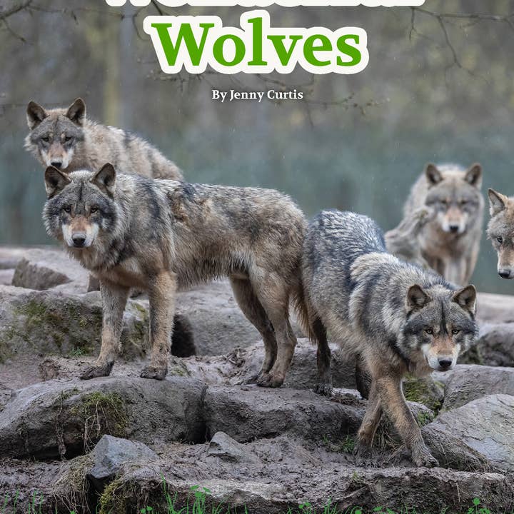 Wildlife Tree - Wholesale Book - Kids - Wonderful Wolves edZOOcation Zookeeper Book