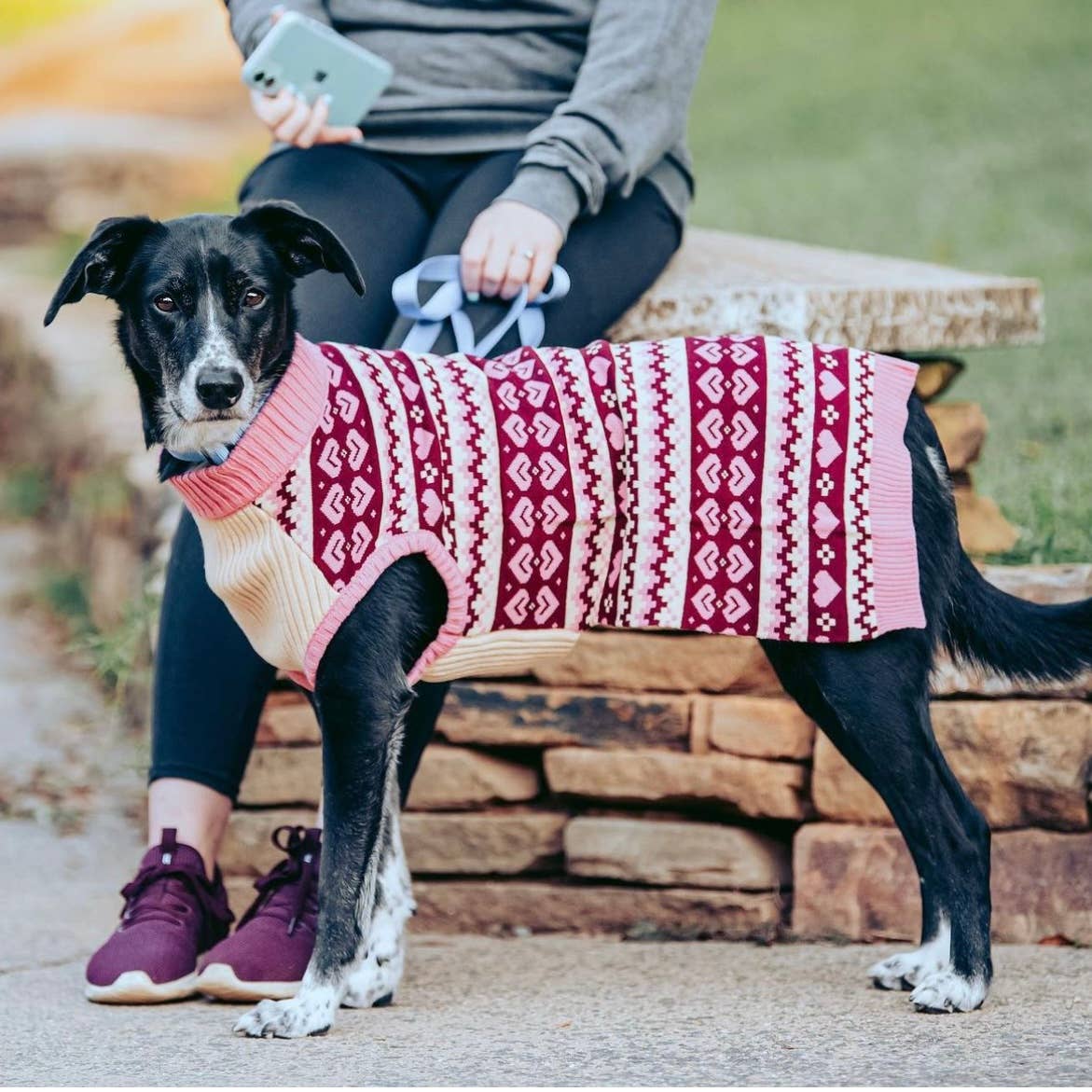 Blueberry Pet - Wholesale Hondentrui - Hond - Op maat gebreide en geverfde zachte en gezellige Fair Isle hondentrui21