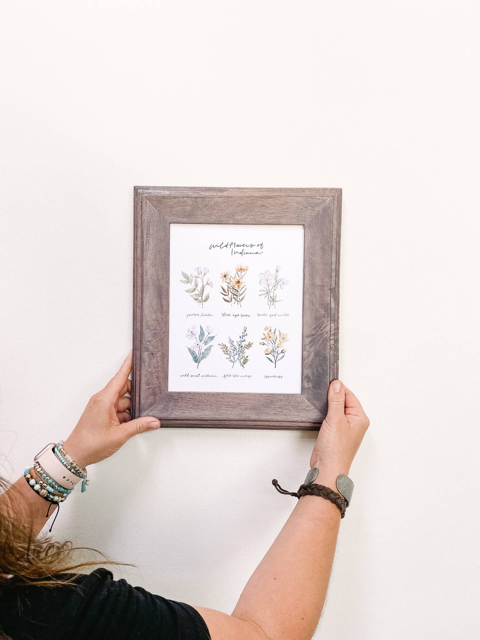 Art and Home co. - Wholesale Art Print - Indiana Wildflowers Watercolor Fine Art Print3