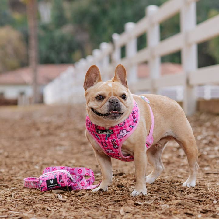 Frenchie - Wholesale Pet Harness - Dog - Frenchie Duo Reversible Harness - Wild West- Pink