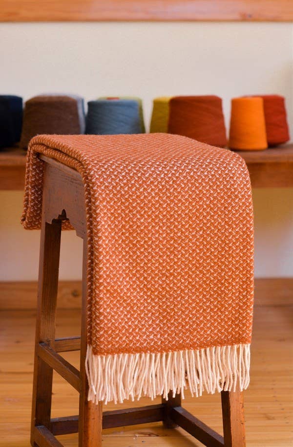 Chicoração - Vendita all'ingrosso Plaid - Coperta Rondine - più colori15