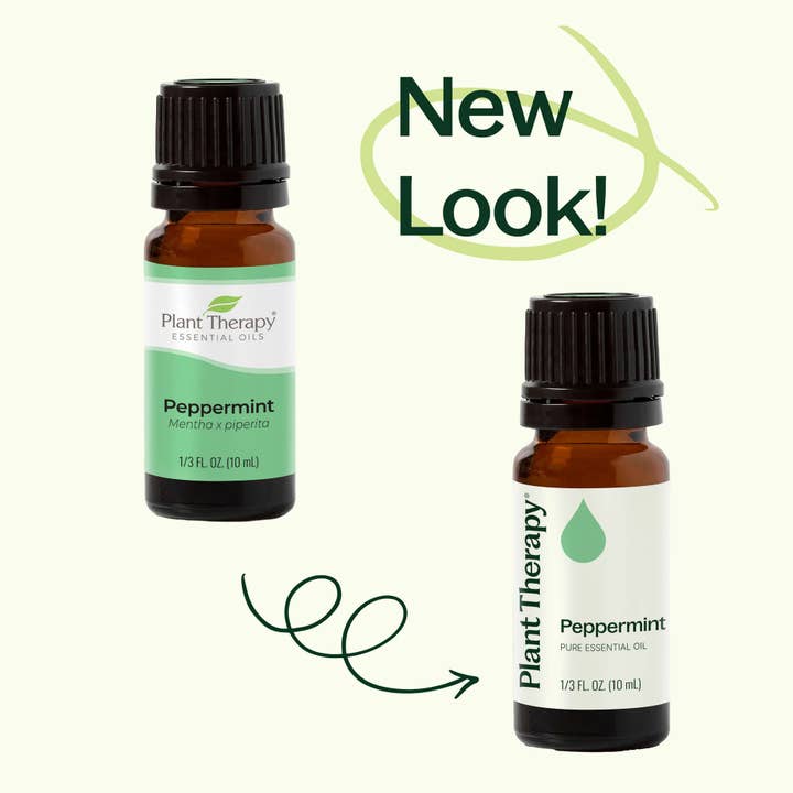 Plant Therapy – wholesale Eterisk olja – Pepparmynta eterisk olja 10 ml