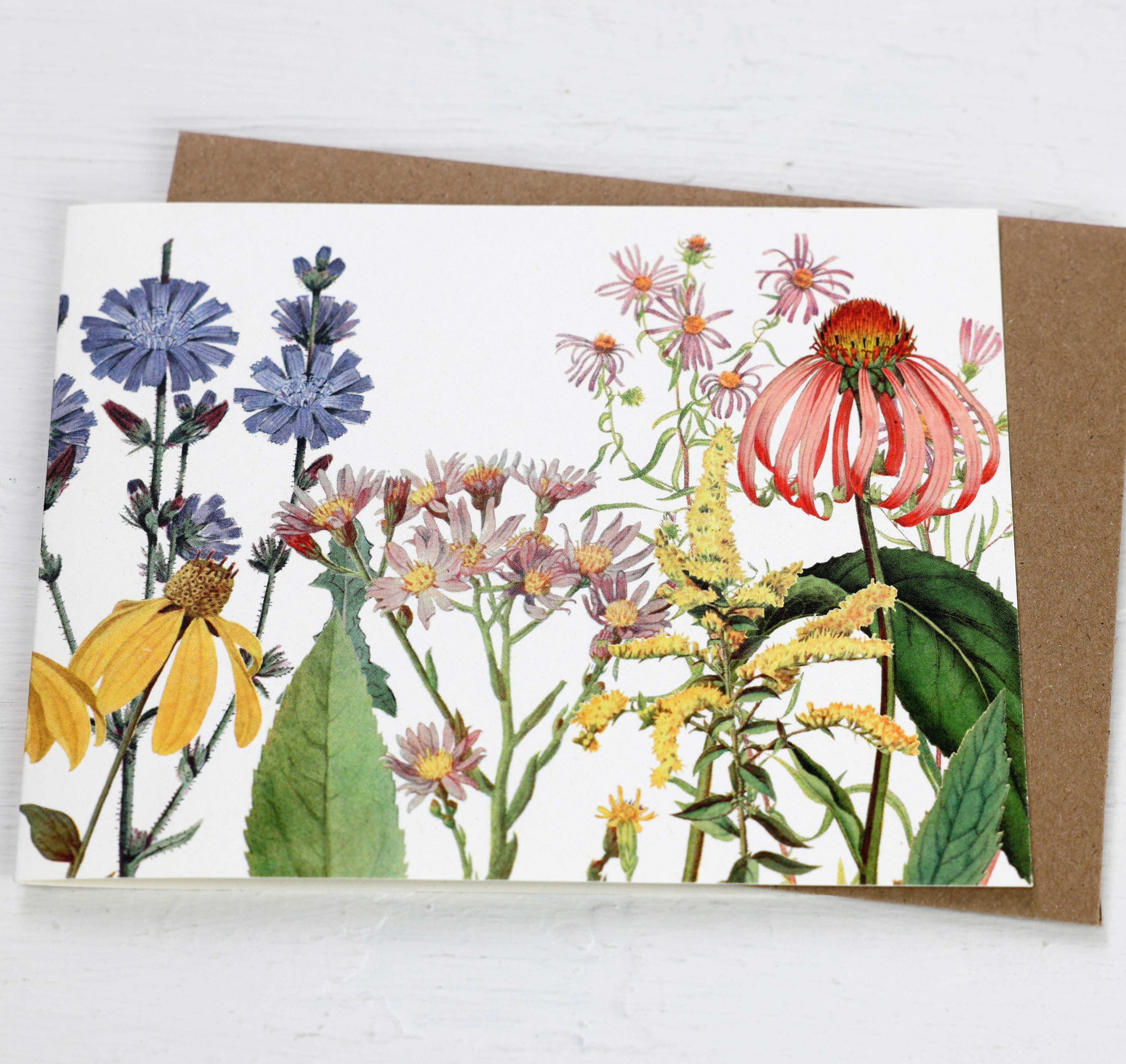 Fairhope Graphics - Vente Carte de vœux classique - Carte Meadow Asters1