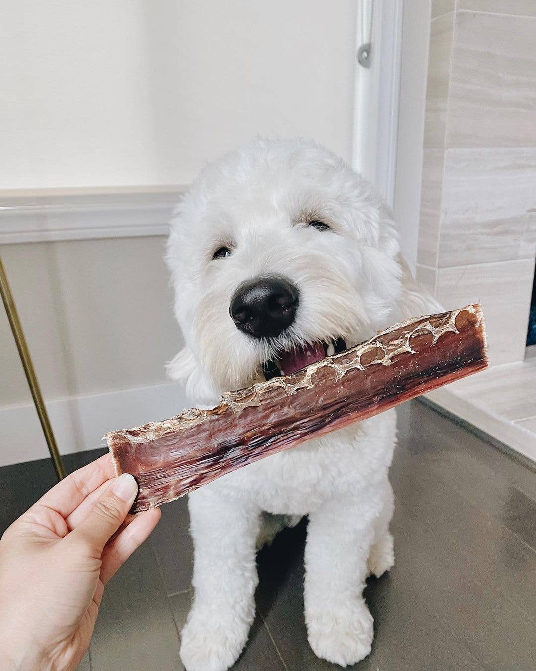 Pawstruck - Wholesale Pet Treats - Dog - Natural Beef Jerky Dog Treat Chews Support Joint Health8