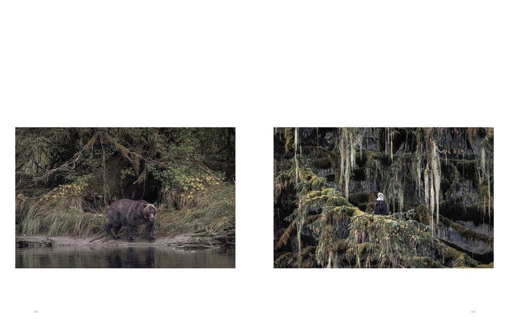 W. W. Norton - Wholesale Nature & Outdoors - Wild Ocean: A Journey to the Earth's Last Wild Coasts8