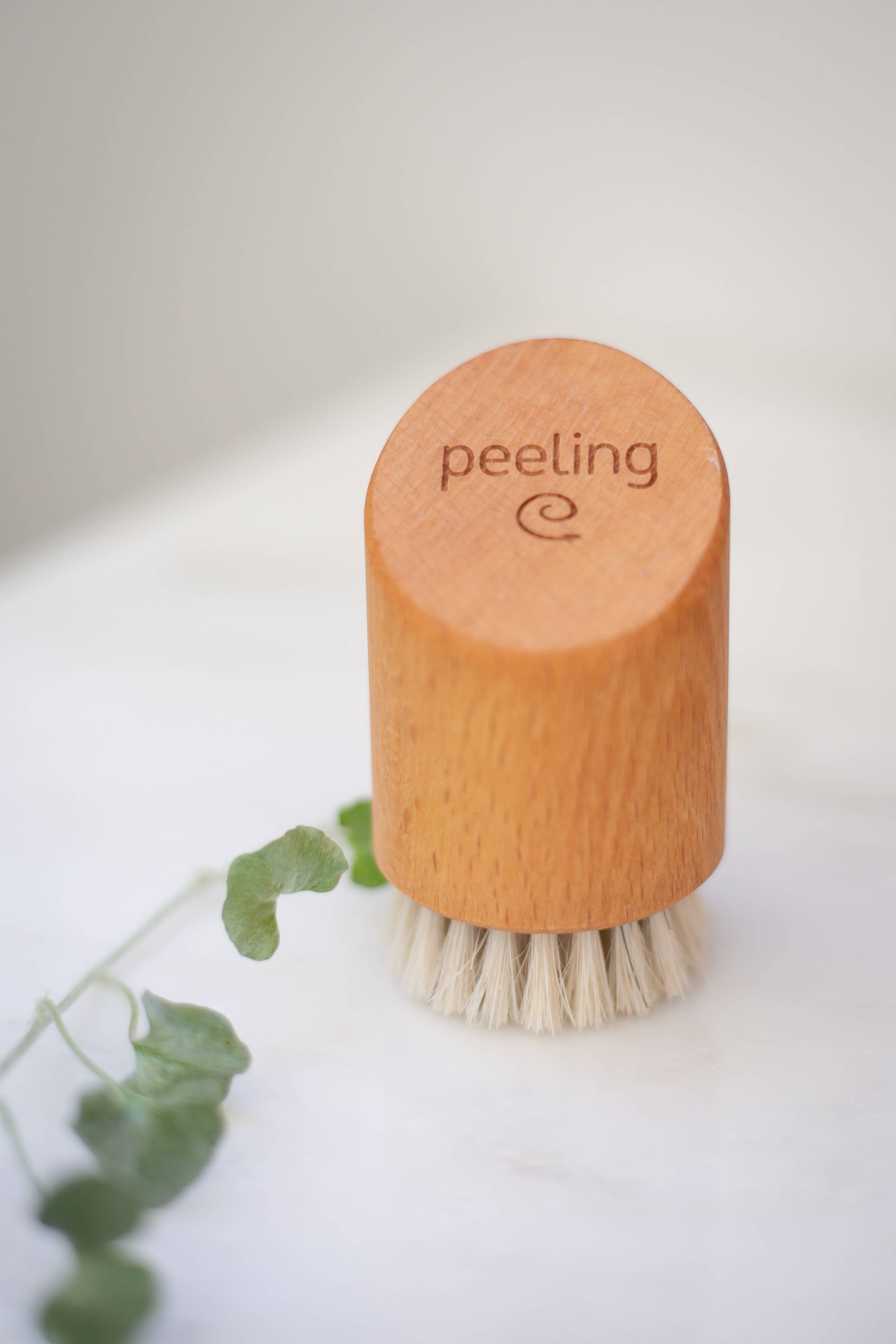 Croll & Denecke - Vendita all'ingrosso Peeling viso - Spazzola per il viso in legno - Spazzola esfoliante per massaggio spa a secco1