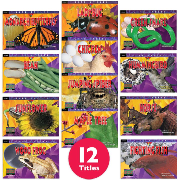 Life Cycles Variety Pack for wholesale by Creative Teaching Press