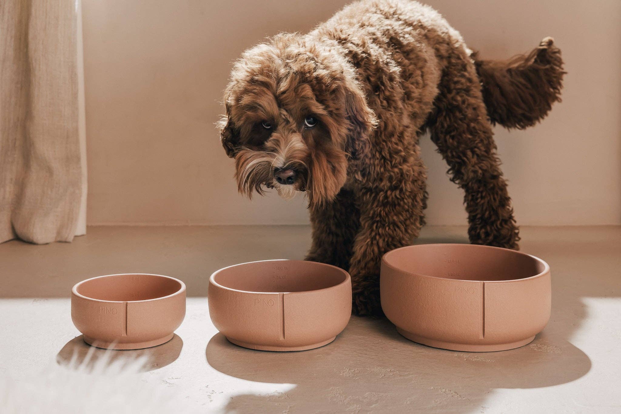 PINO – Engroshandel Kæledyrsskål – Hund – Klassisk skål23