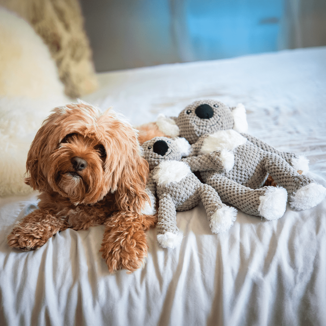 fabdog - Venta al por mayor Peluche - Perros - Floppy Koala3