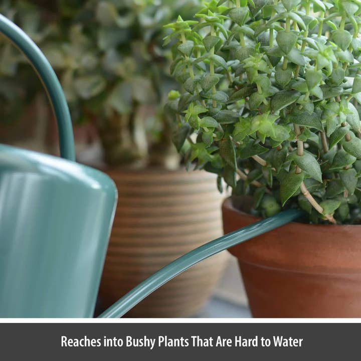 Wholesale Gifts Tomorrow - Wholesale Watering Can - Dark Green 1.4L Indoor Watering Can Small Metal Coated Steel3