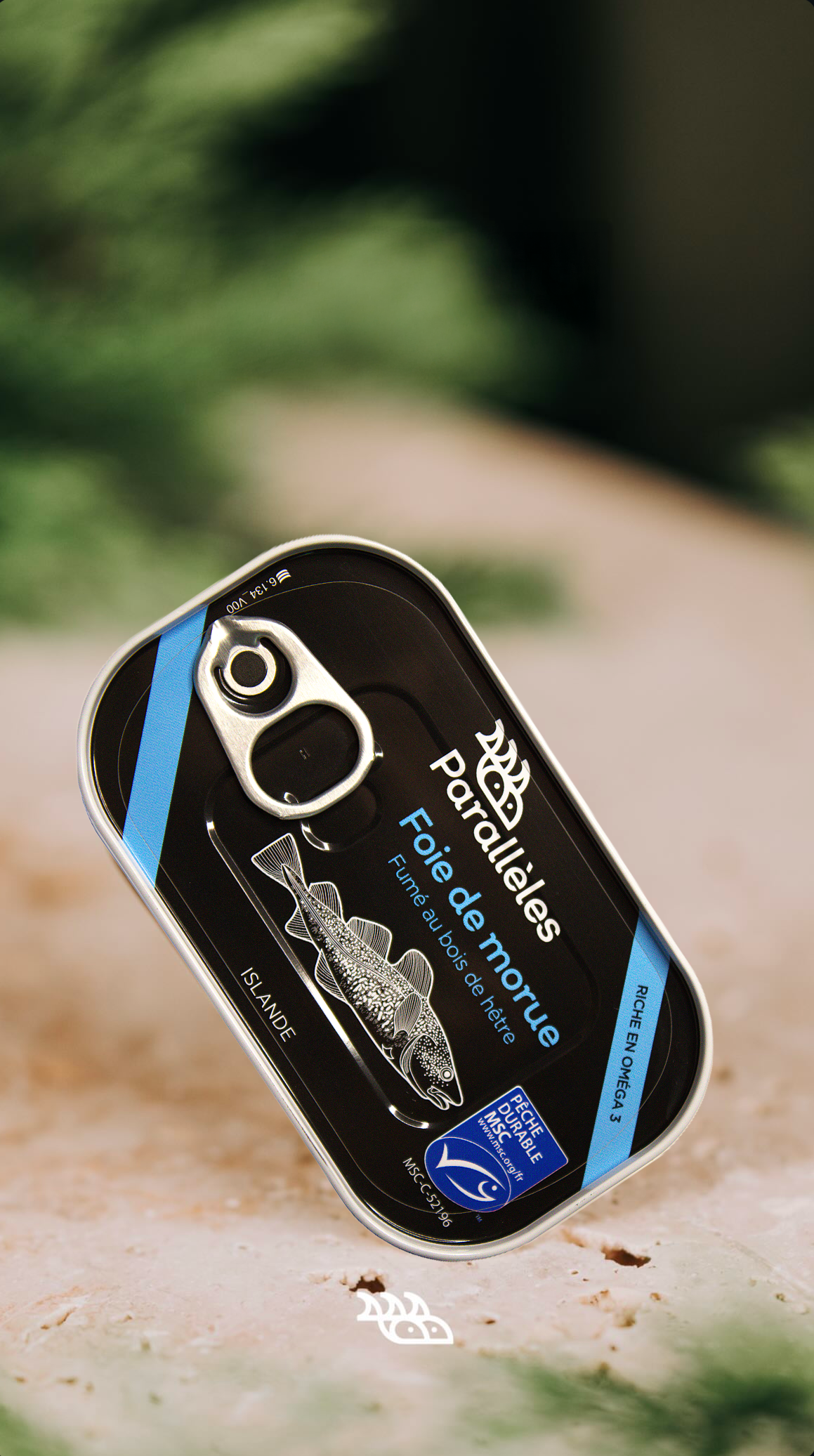 Conserves Parallèles - Wholesale Tinned Fish - Smoked MSC Cod Liver with Beech Wood3