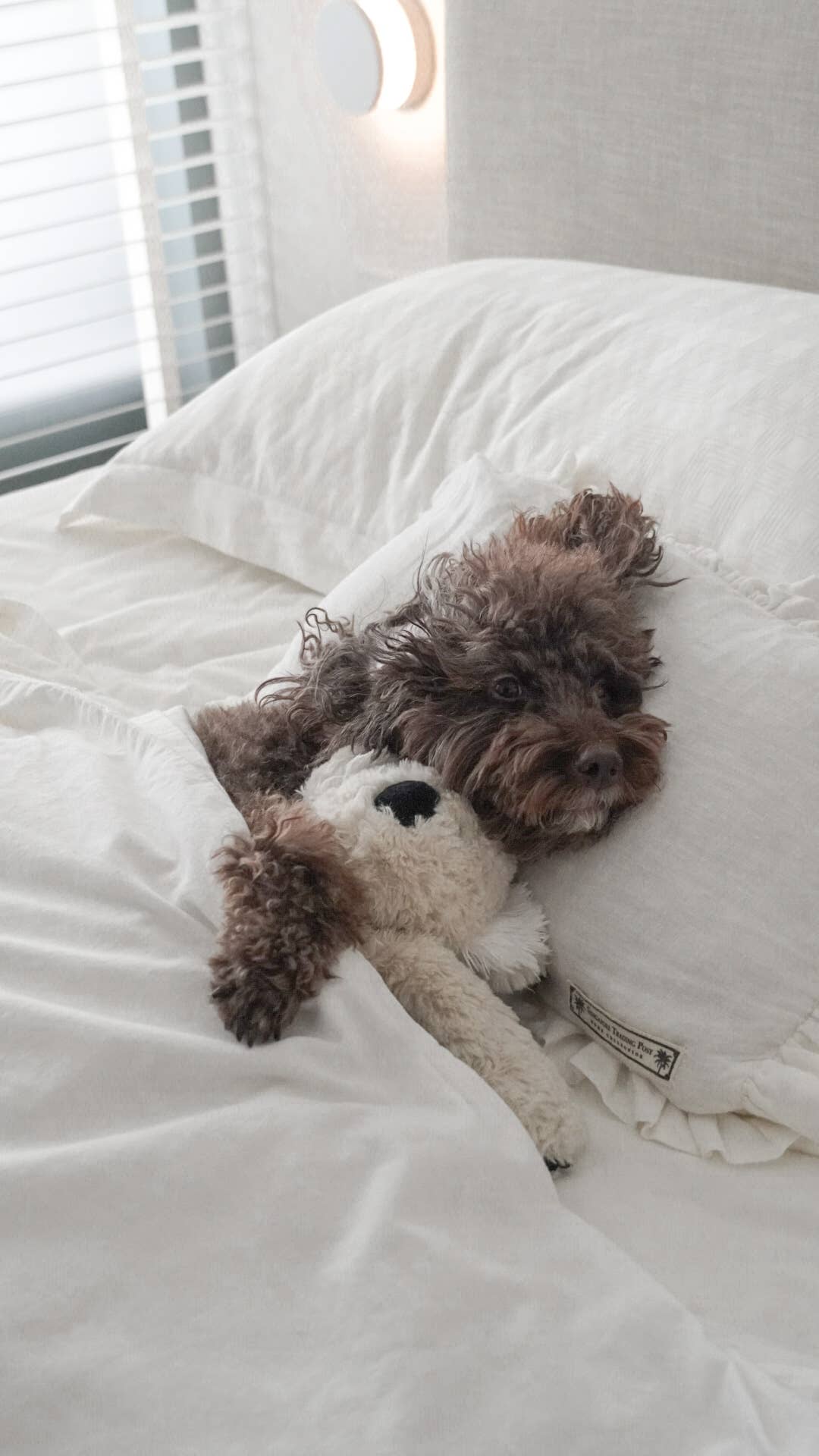 Fur Elise Pets - Wholesale Pet Plush Toy - Dog - Koko Maxi Plushie14