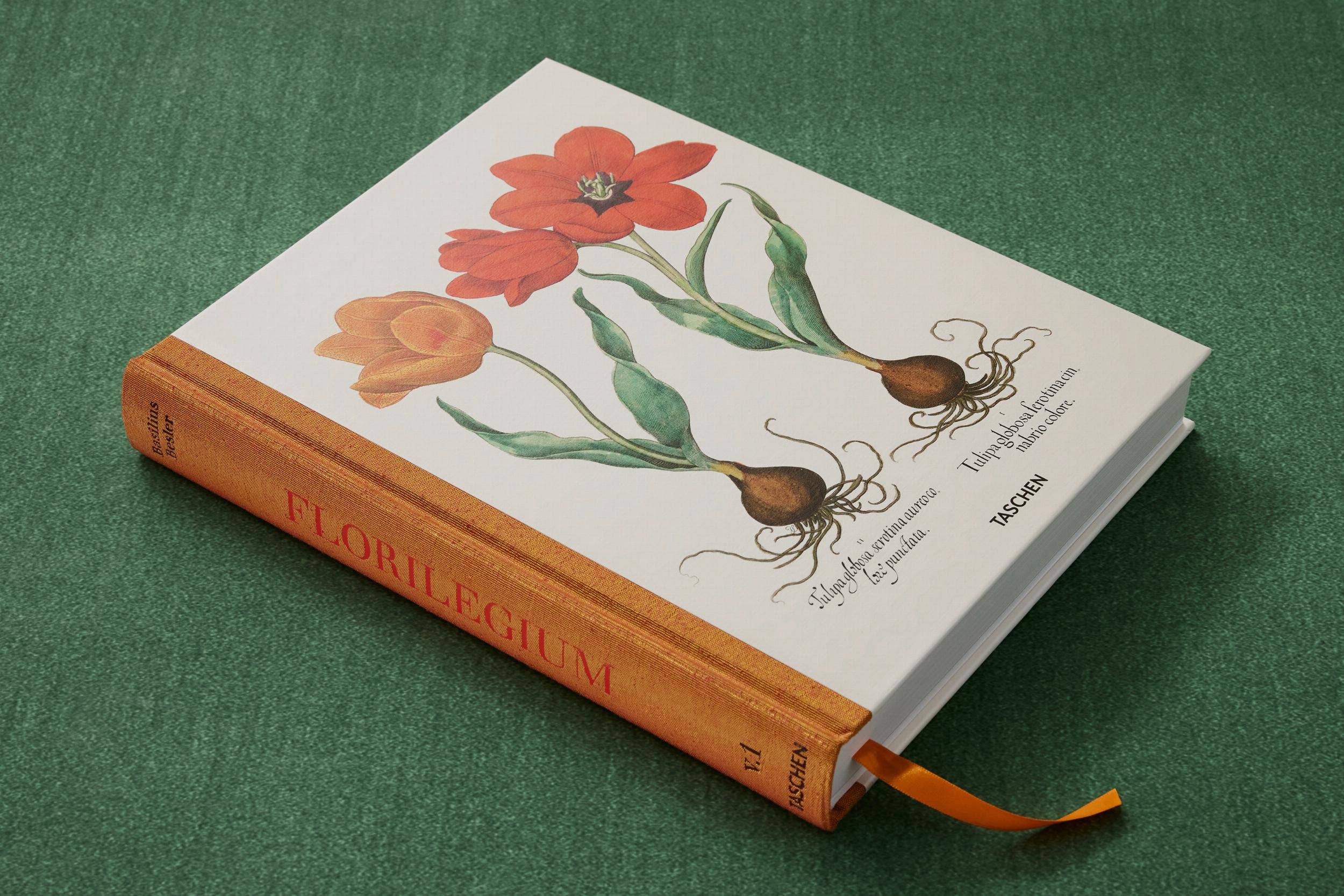 TASCHEN Europe – wholesale Nature & outdoors book – Basilius Besler. The Garden at Eichstätt (German, French, English)3