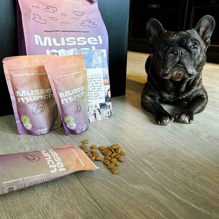 Glufs – Großhandel Leckerlis – Hund – Musselmunch – Knuspriger, klimafreundlicher Hundesnack mit MSC-zertifizierten Miesmuscheln4