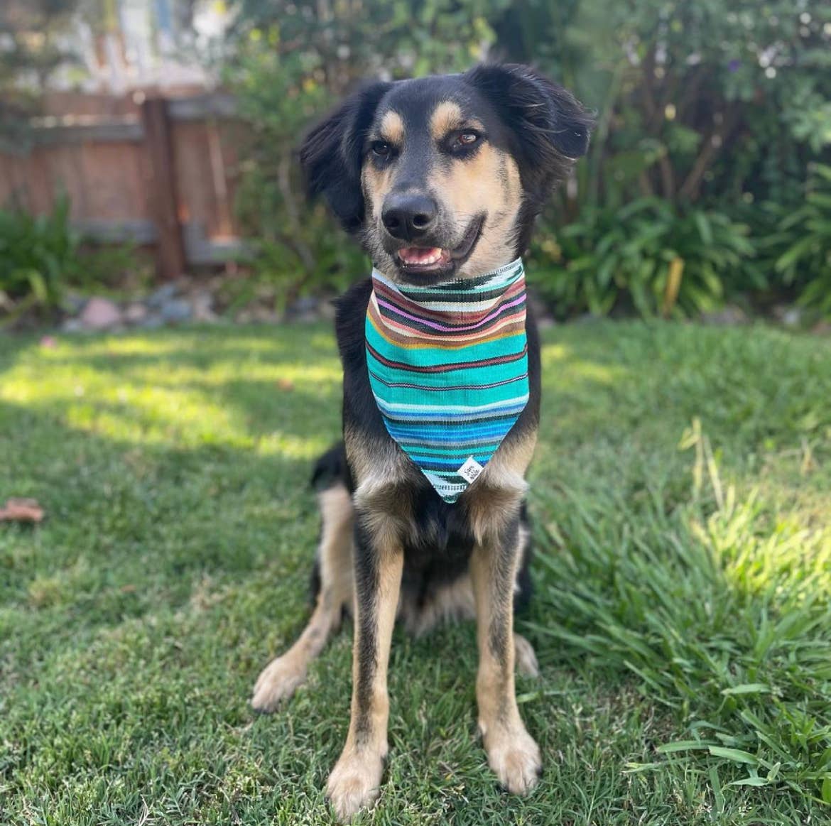 Sam & Nala | intentional style for pets & their people – Bandana - Cão por atacado – Bandana para cachorro Spring Hills - Comércio Justo e feita por artesãos3