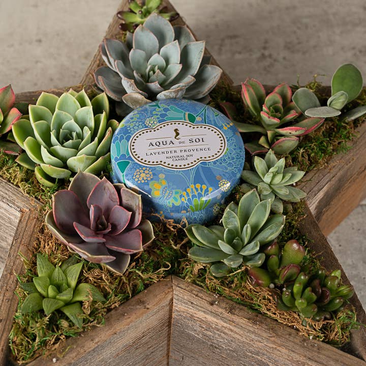 Love Reclaimed - Wholesale Planter Box - Rustic Star Reclaimed Wood Planter3