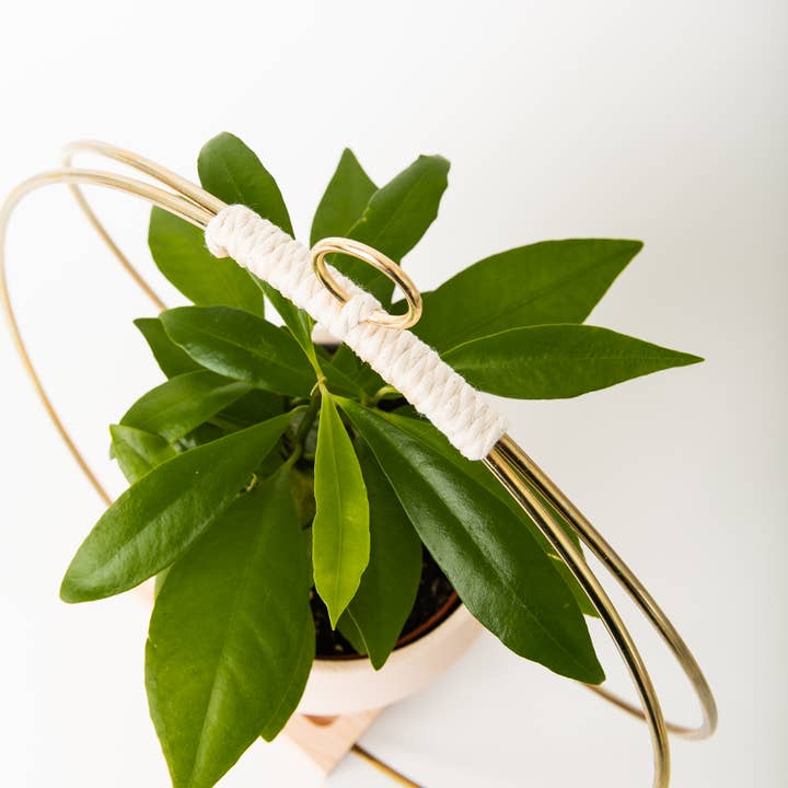 Braid & Wood Design Studio - Venta al por mayor Macetas colgantes - Macetero Colgante Dorado, Colgador de Plantas Moderno (Grande)