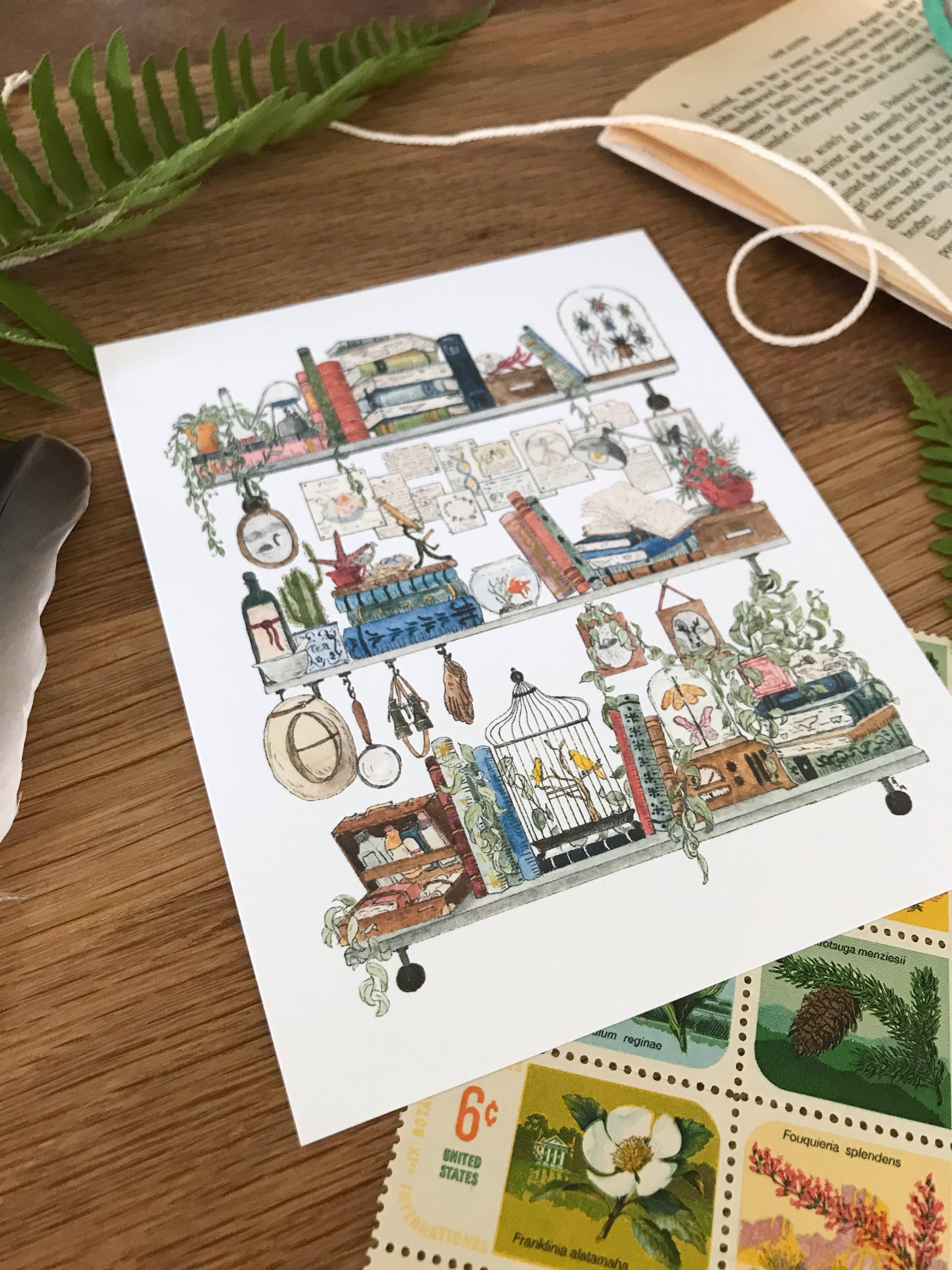 Lizzy Gass - Wholesale Postcard - The Biologist's Shelves Postcard1