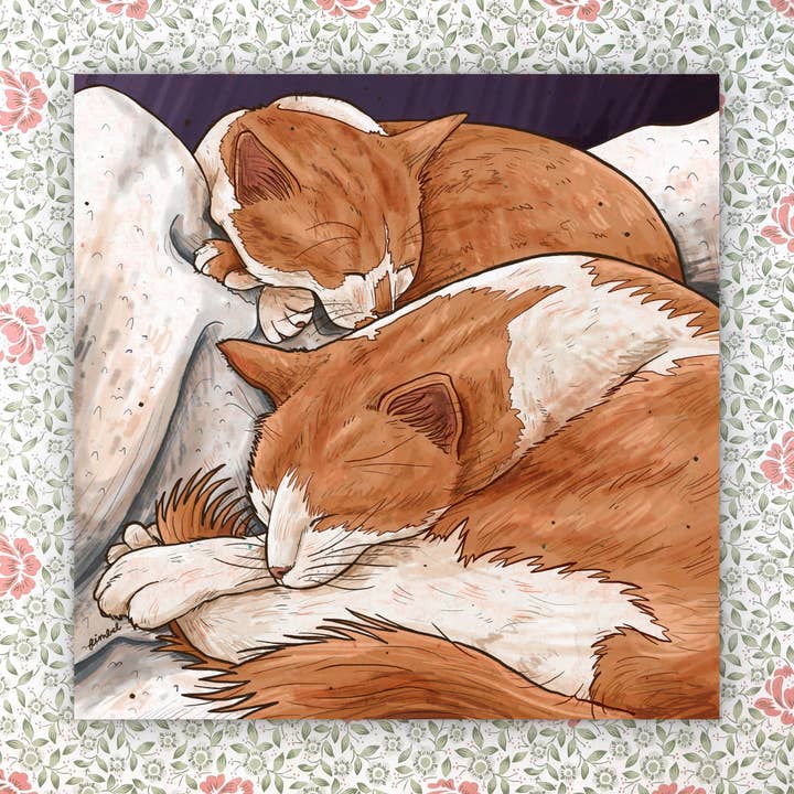 To orange katte, kunsttryk, 8 x 8 tommer, signeret og nummereret for engroshandel hos Art Fimbel