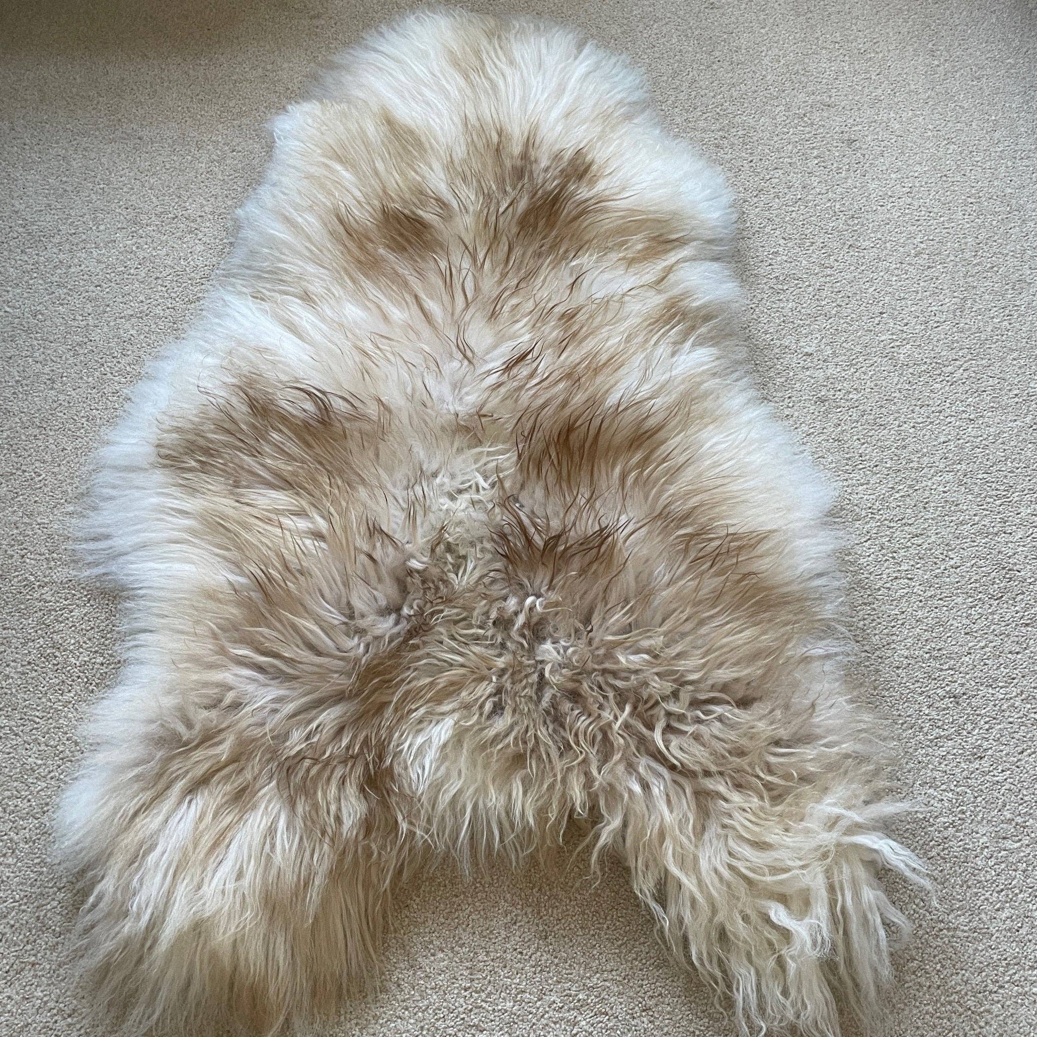 Wildash London – wholesale Area rug – Icelandic Latté Sheepskin Rug 100% Natural Brown Tipped White4