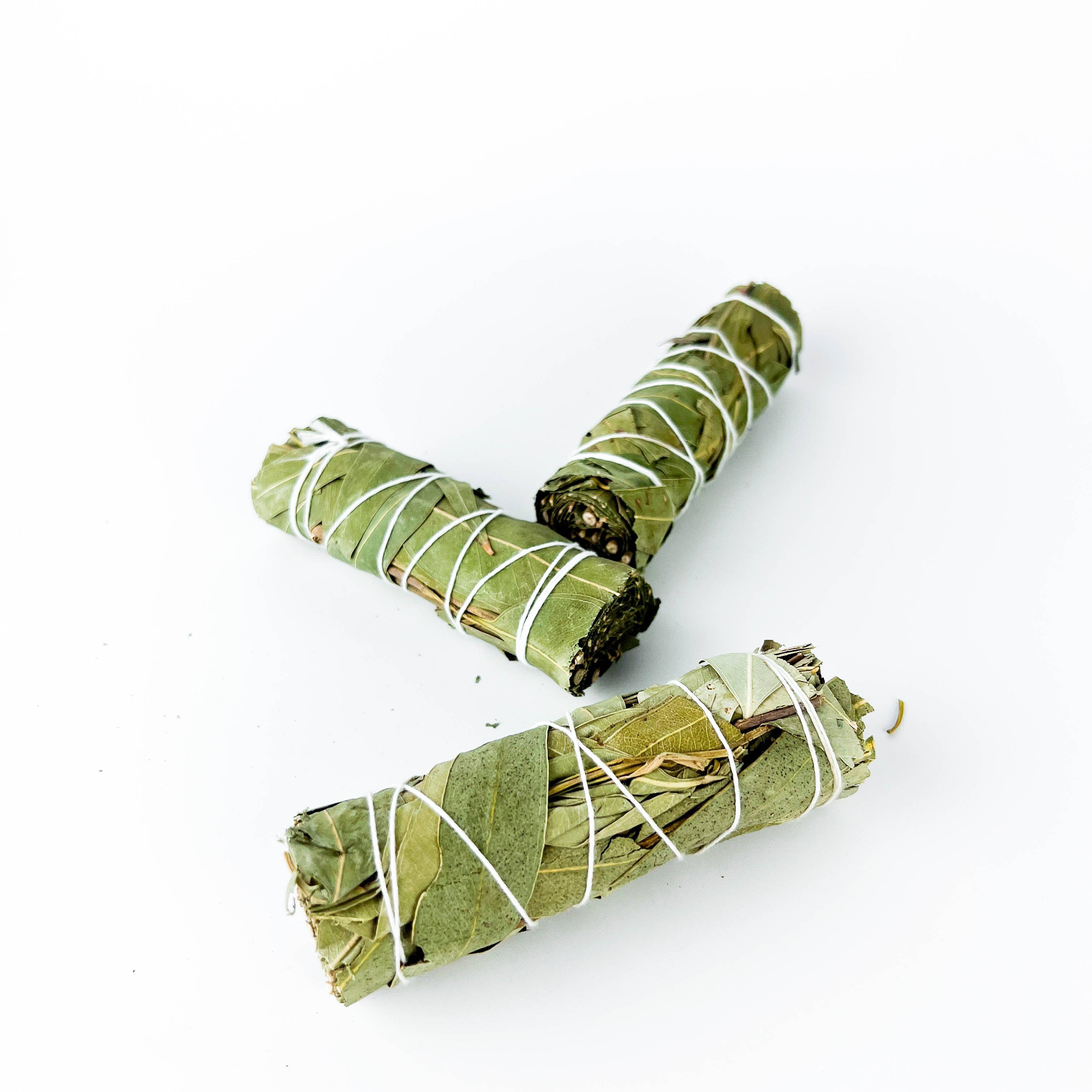 GREENROOTS USA LLC - Wholesale Smudge Stick - Eucalyptus Smudge Stick 4" Bundle For Ceremony, Meditation2