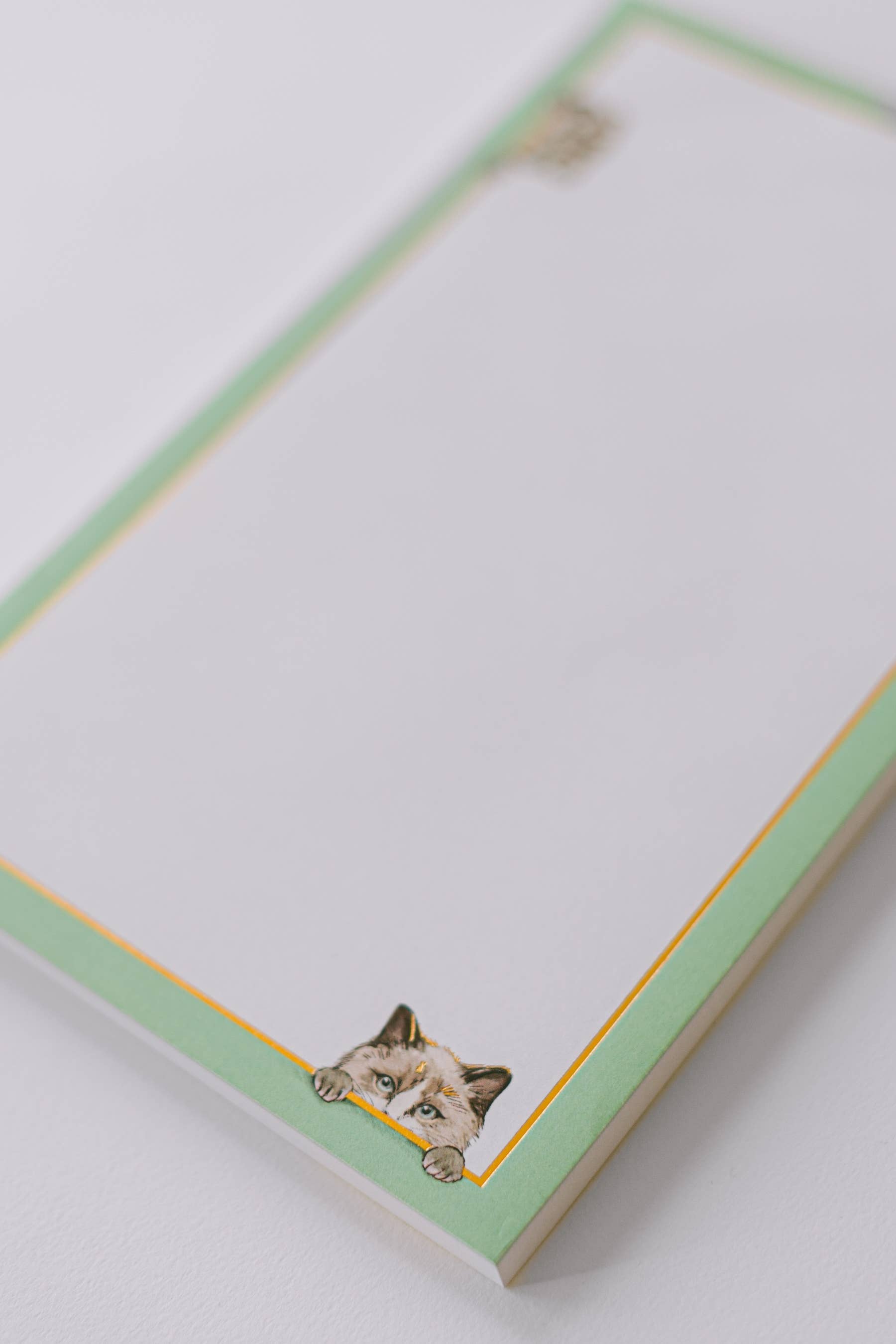 Good Juju Ink – wholesale Notepad – Sneaky Cats on the Border Large Notepad2