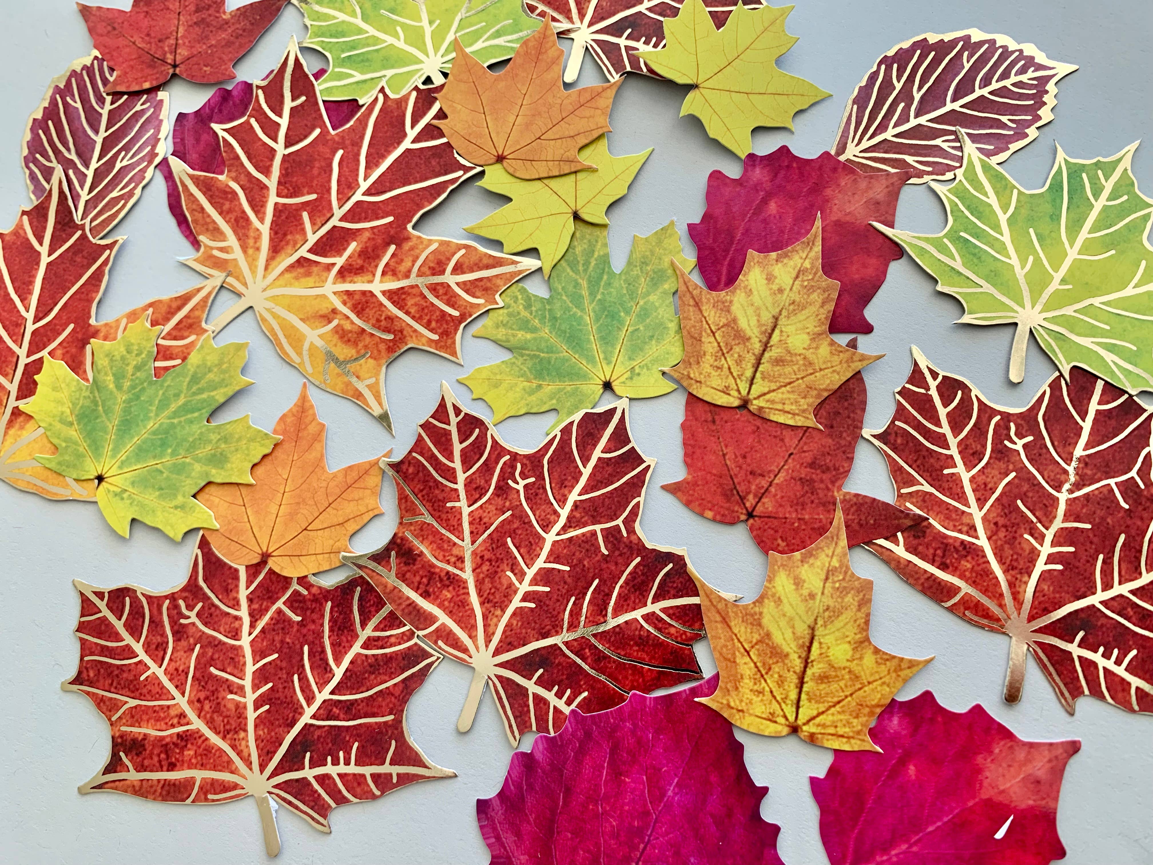 Paper House Productions - Wholesale Sticker - Scrapbook Stickers - Fall Leaves Diecut Sticker Pack3