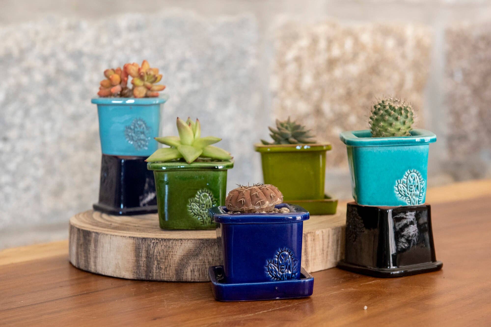 Vasos Quadrados by EM – Vaso de plantas por atacado – VASO QUADRADO MINI 6x6 - BRILHO49