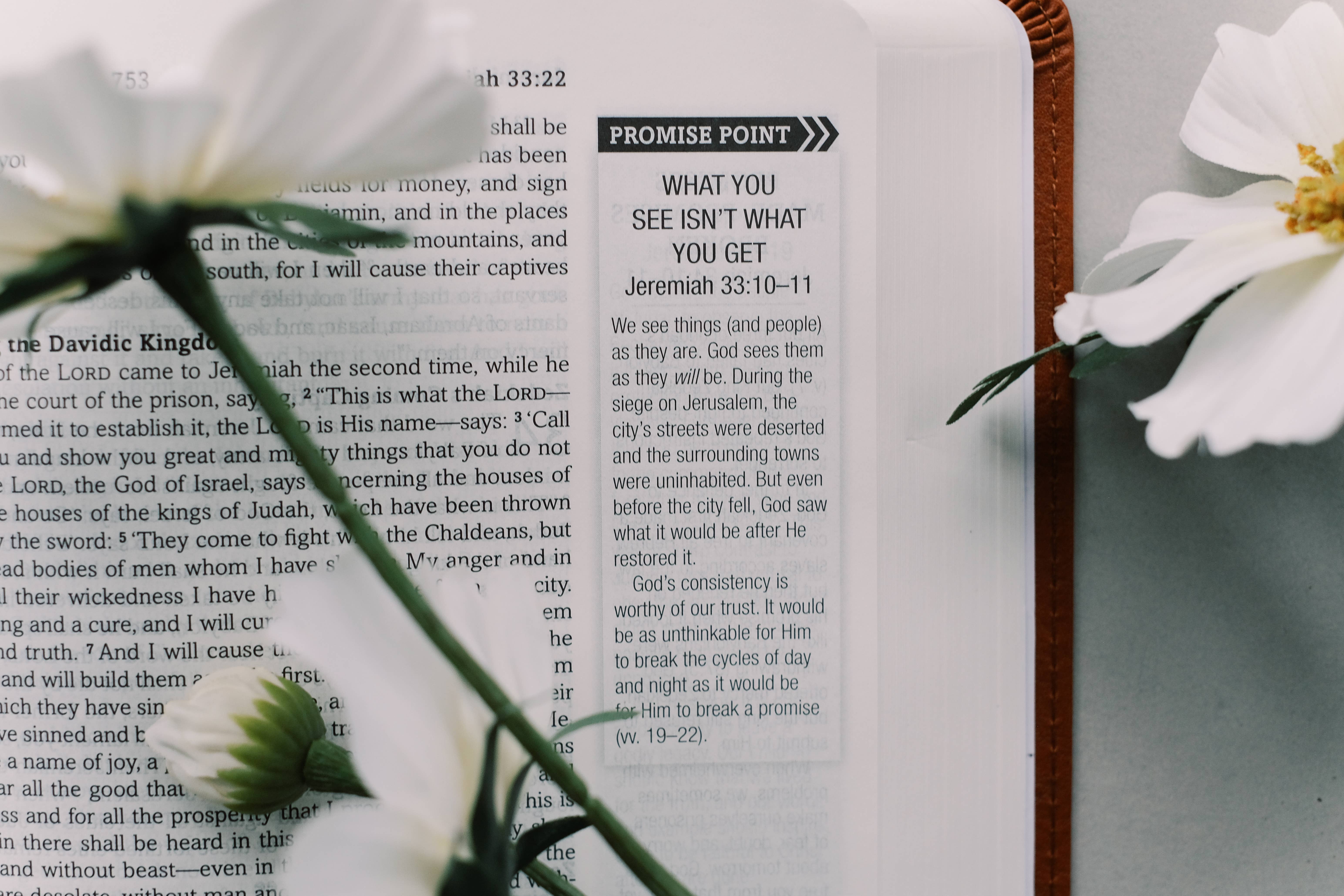 Barbour Publishing, Inc. - Wholesale Religion - The Holy Bible: SKJV [Chestnut Floral]3