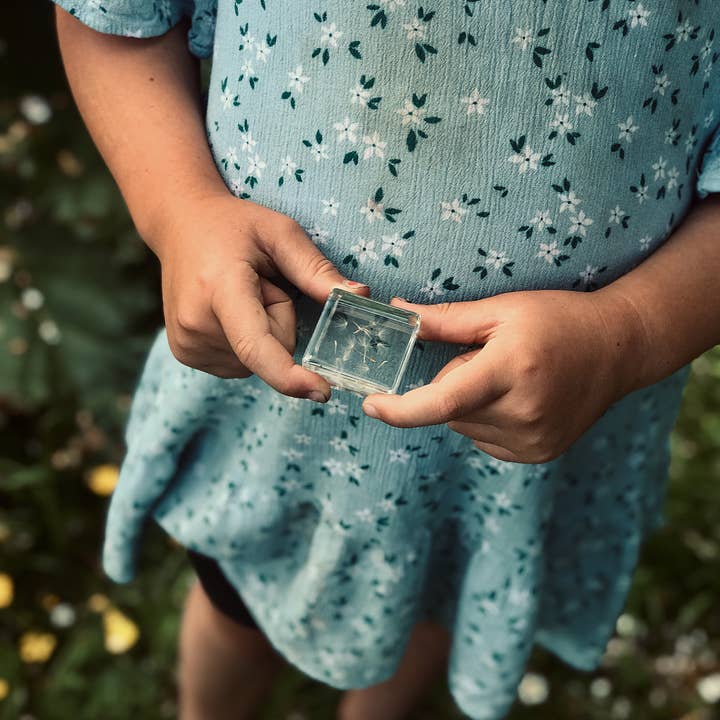 Our Earth Life - Wholesale Keepsake coin/token - Dandelion Wishes2