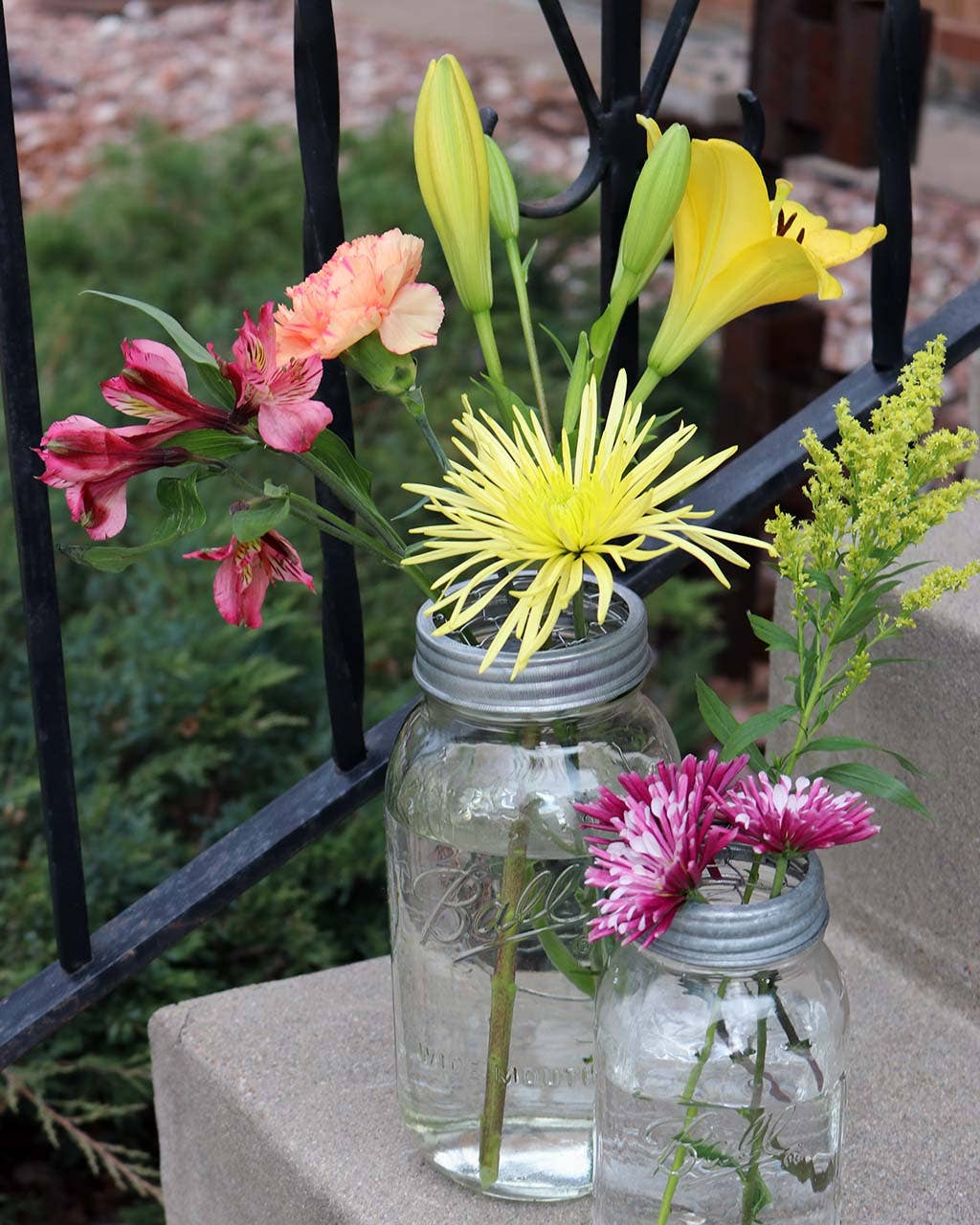 Mason Jar Lifestyle - Wholesale Jar - Galvanized Metal Flower Organizer Frog Lid for Mason Jars2