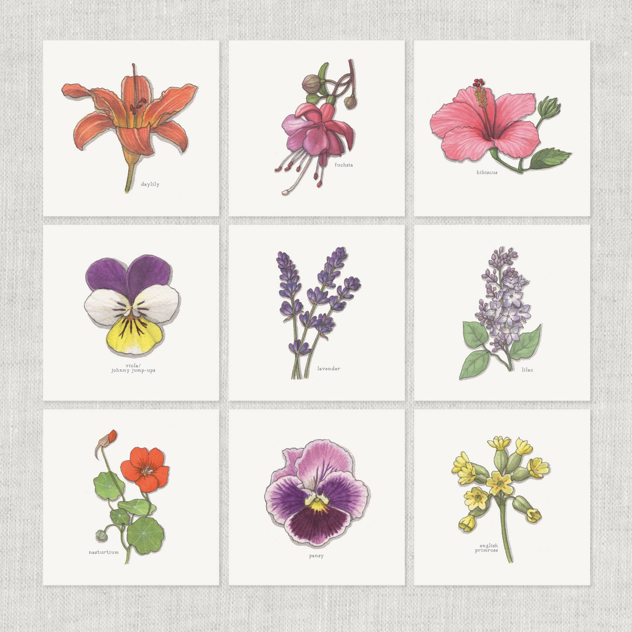 Yeesan Loh – wholesale Vardagliga hälsningskort – Kort/Blommor (2 av 3)3