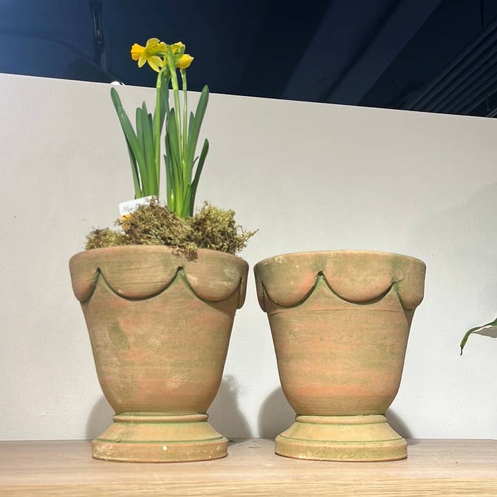 Botanical Collections - Wholesale Plant Pot - Orleans Cachepot #4 - Set of 2