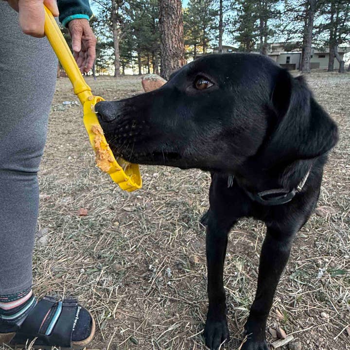 SodaPup Dog Toys - Wholesale Pet Toy - Dog - Lick Stick Hand-Held Interactive Enrichment Toys3