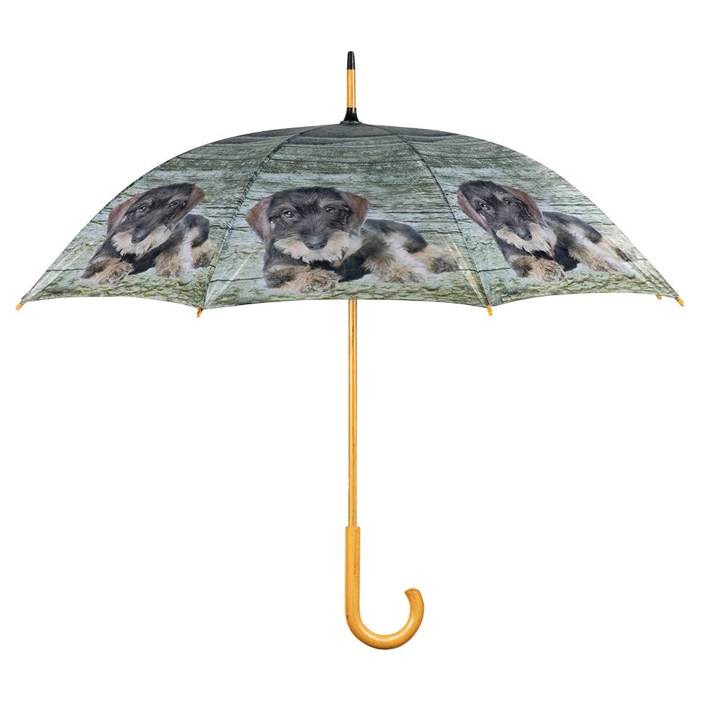 Mars & More - Brand of B Living - Wholesale Umbrella - Unisex - Teak Dachshund Umbrella Lying 105 Cm0