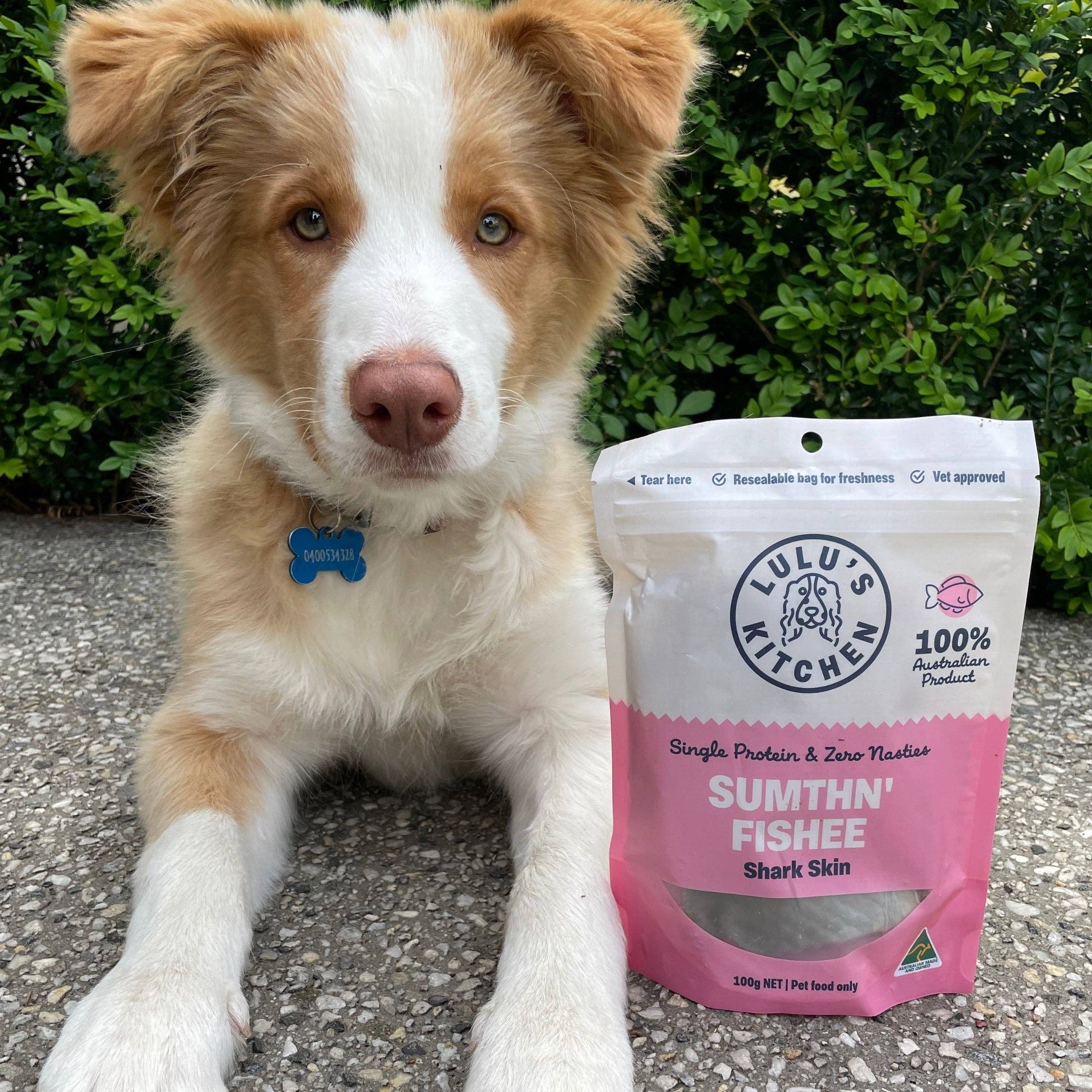 Rover Pet Products - Vente Friandises – chien - Sumthn' Fishee - Peau de requin8