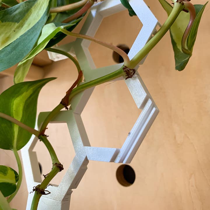 Steel Silk LLC - Wholesale Trellis - 3D Printed Modular Hexagon Indoor Plant Trellis - White