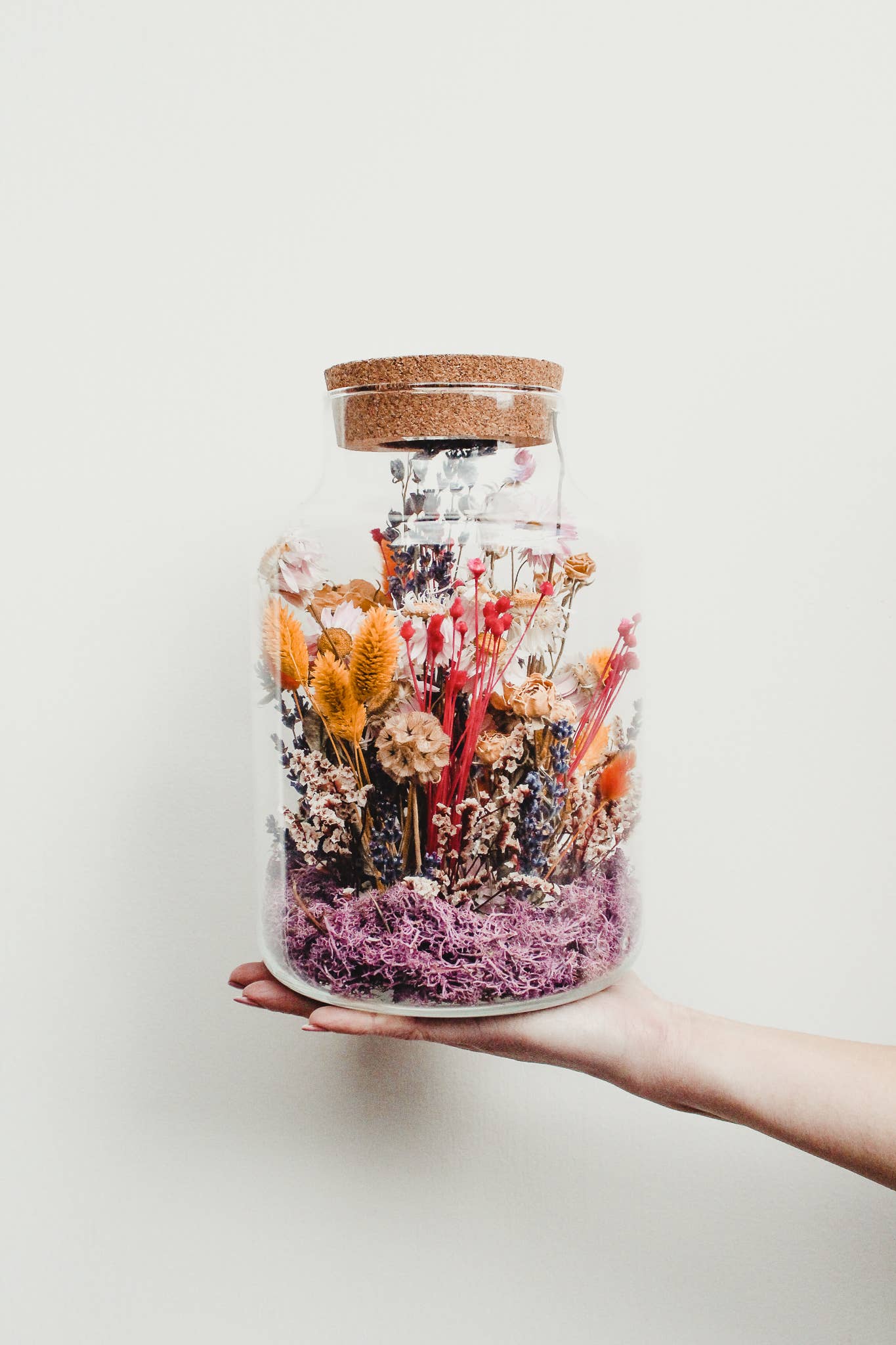 Ratatouille Creative Studio - Wholesale Terrarium - Terrarium L0