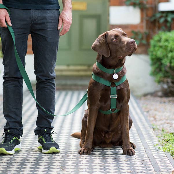 Arnês verde por atacado de HINDQUARTERS