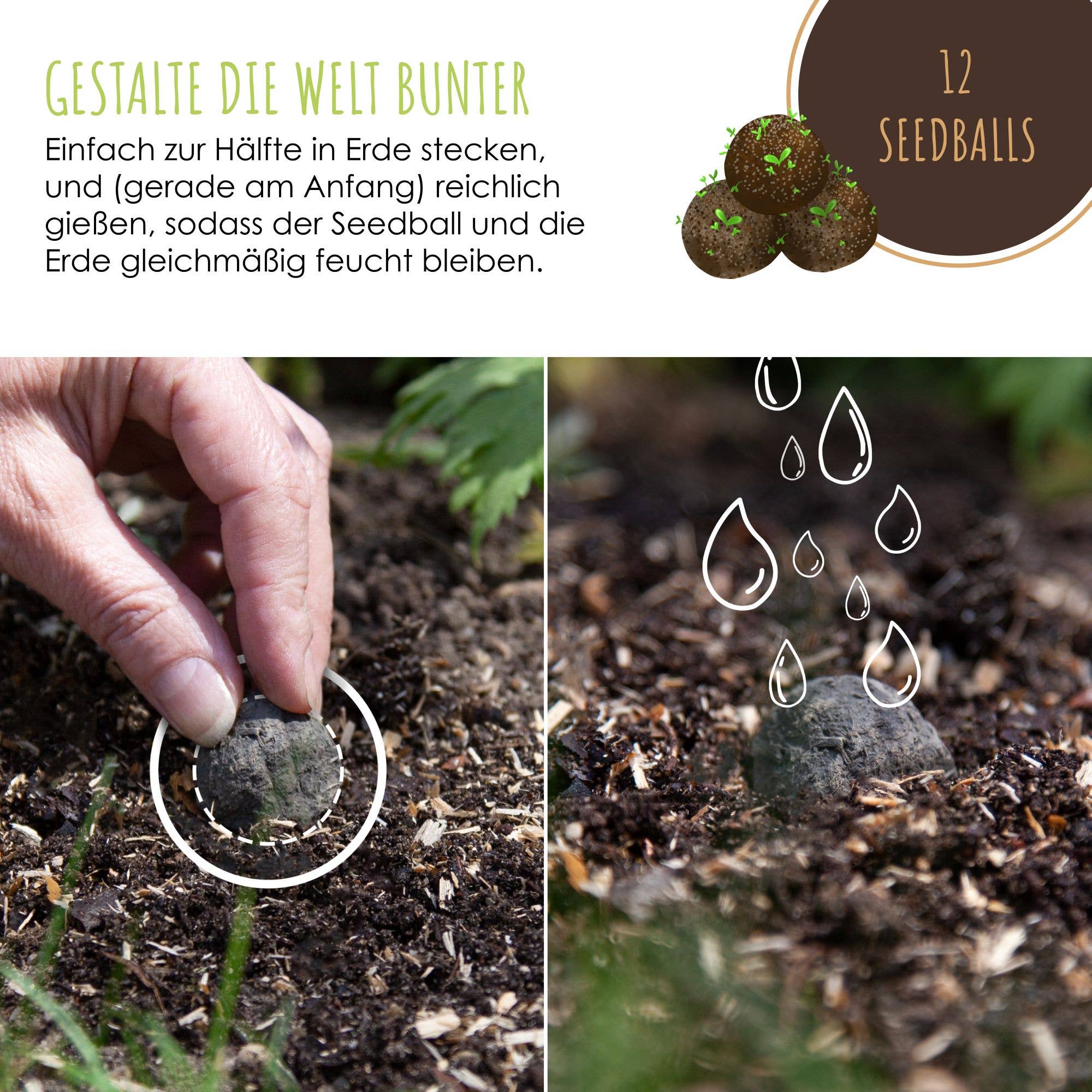 Vendix GmbH - Wholesale Plant Seeds - 12x seed bombs for colorful bee pasture (colorful)3