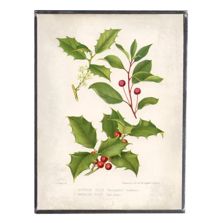 Graphically Speaking Design - Wholesale Christmas Wall Art - Vintage Print, Christmas Holly, Wall Decor