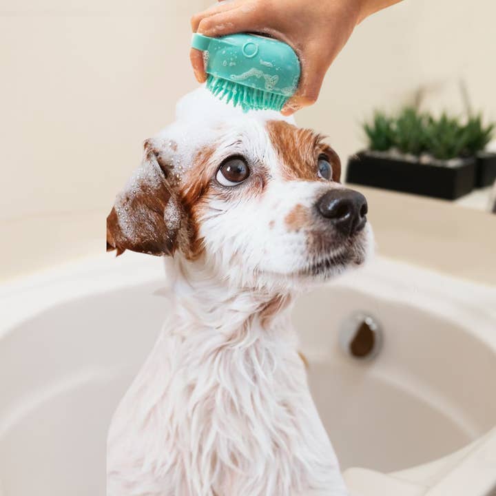 The American Gift Company (TAGCO) - Wholesale Pet brush – Cat/dog - Soft Dog Cat Pet Bath Scrubber Massager Brush3
