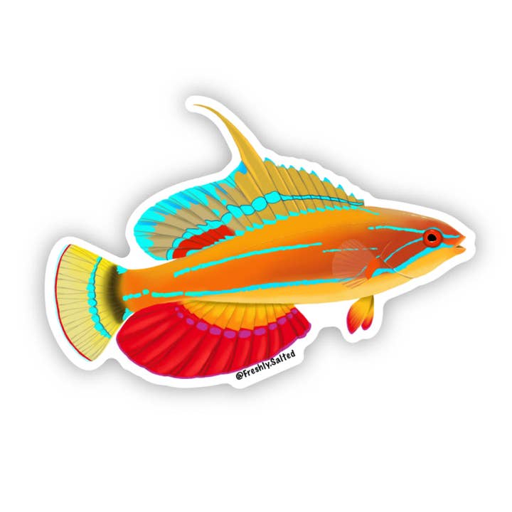 McCosker's Flasher Wrasse klistermärke för wholesale av Freshly Salted LLC